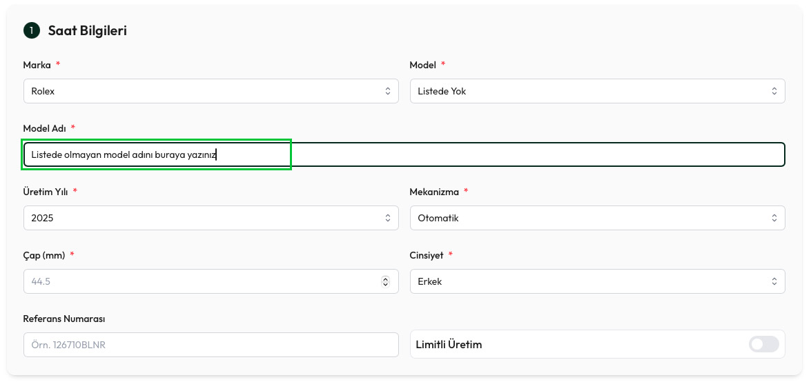 2-Model adını manuel olarak yazınız.